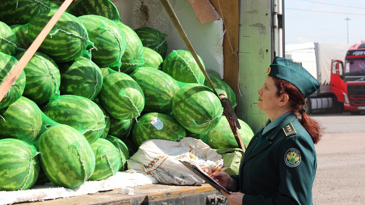    Фото: пресс-служба Санкт-Петербургской таможни