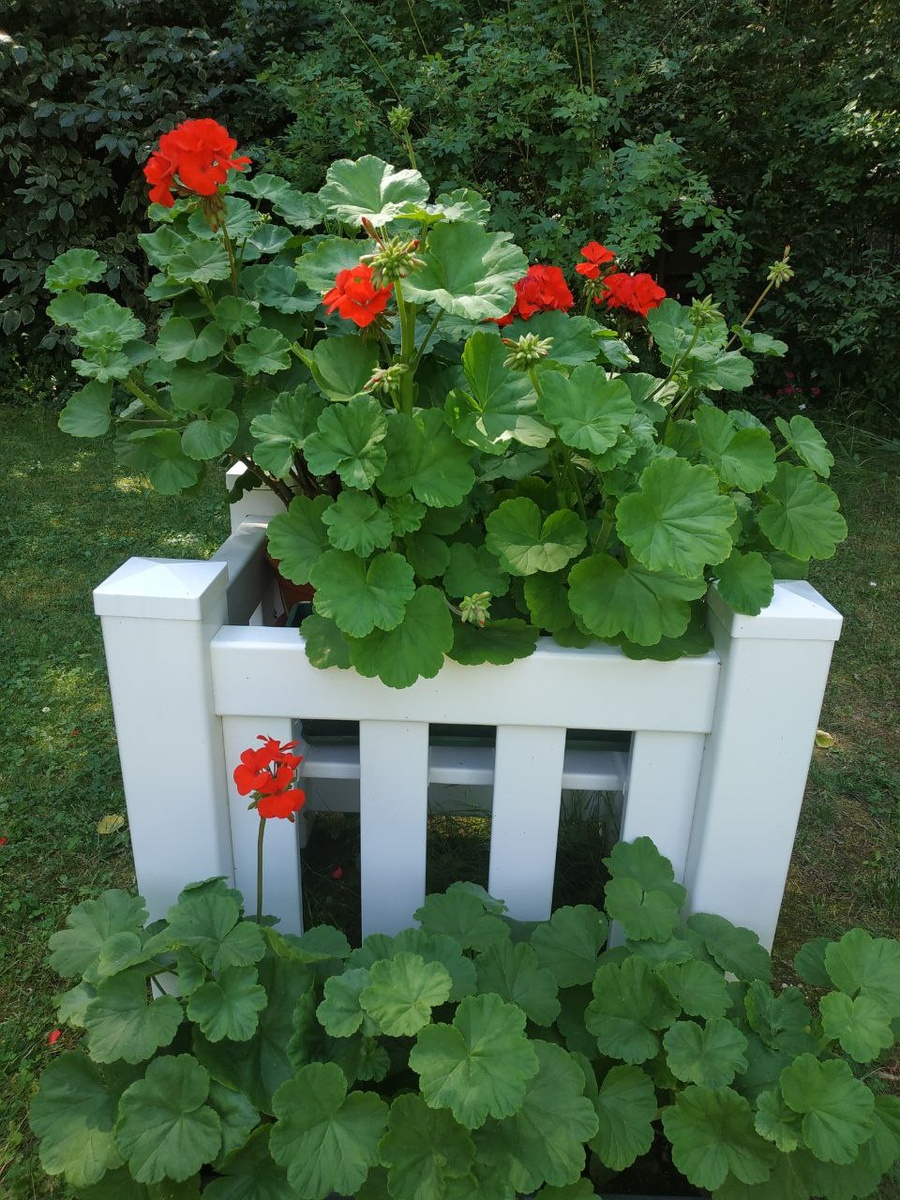 Пластиковая подставка для цветов в ящиках и горшках