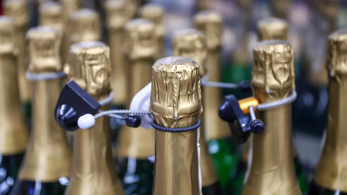    Фото: Razmik Zackaryan/globallookpress.com