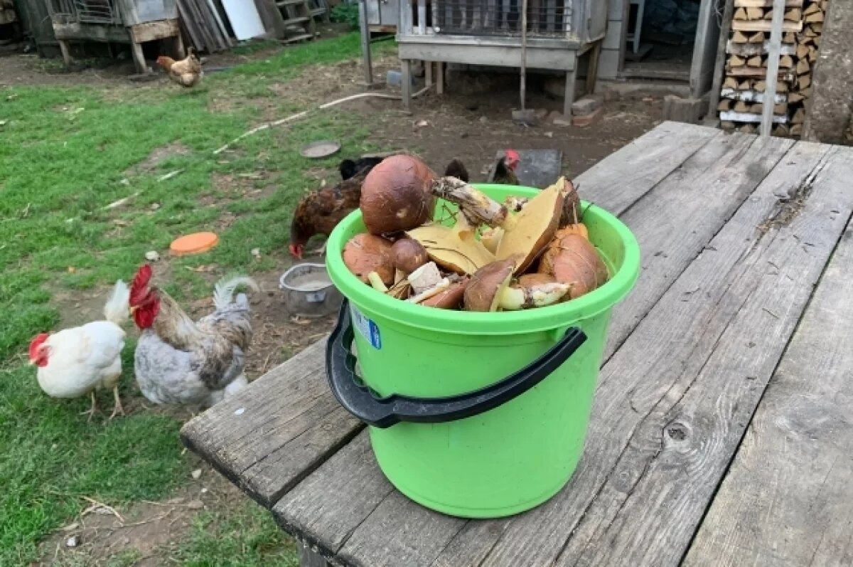    Еще не все грибы собраны.