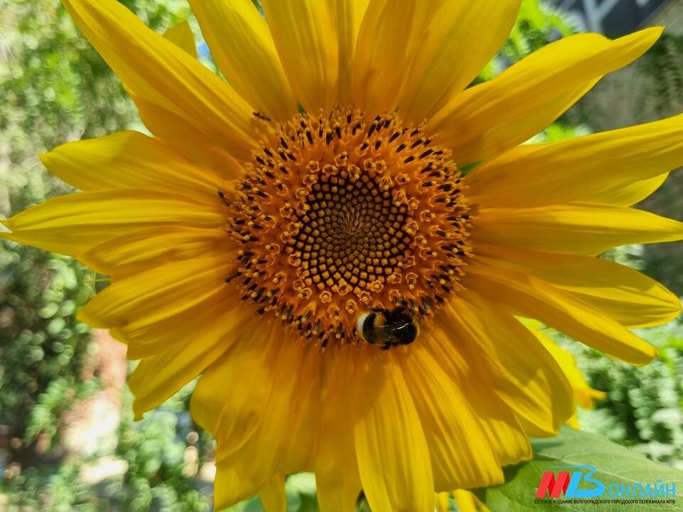    Фото: МТВ.ОНЛАЙН / архив