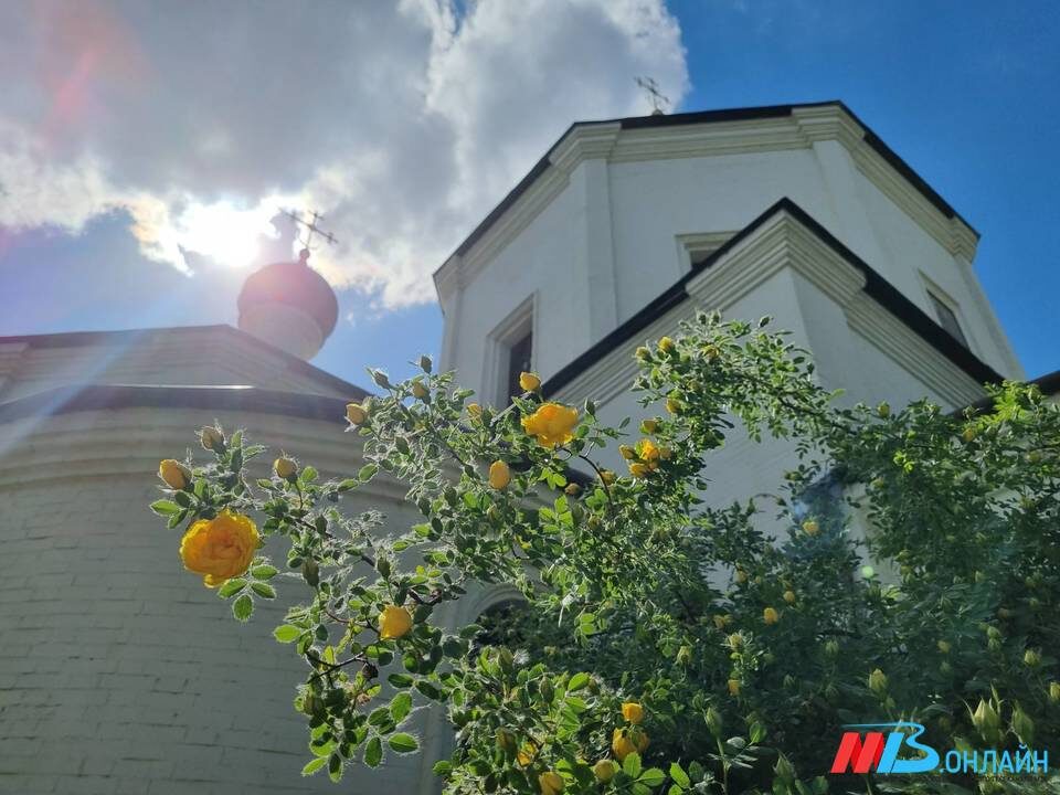    Фото: МТВ.ОНЛАЙН / архив