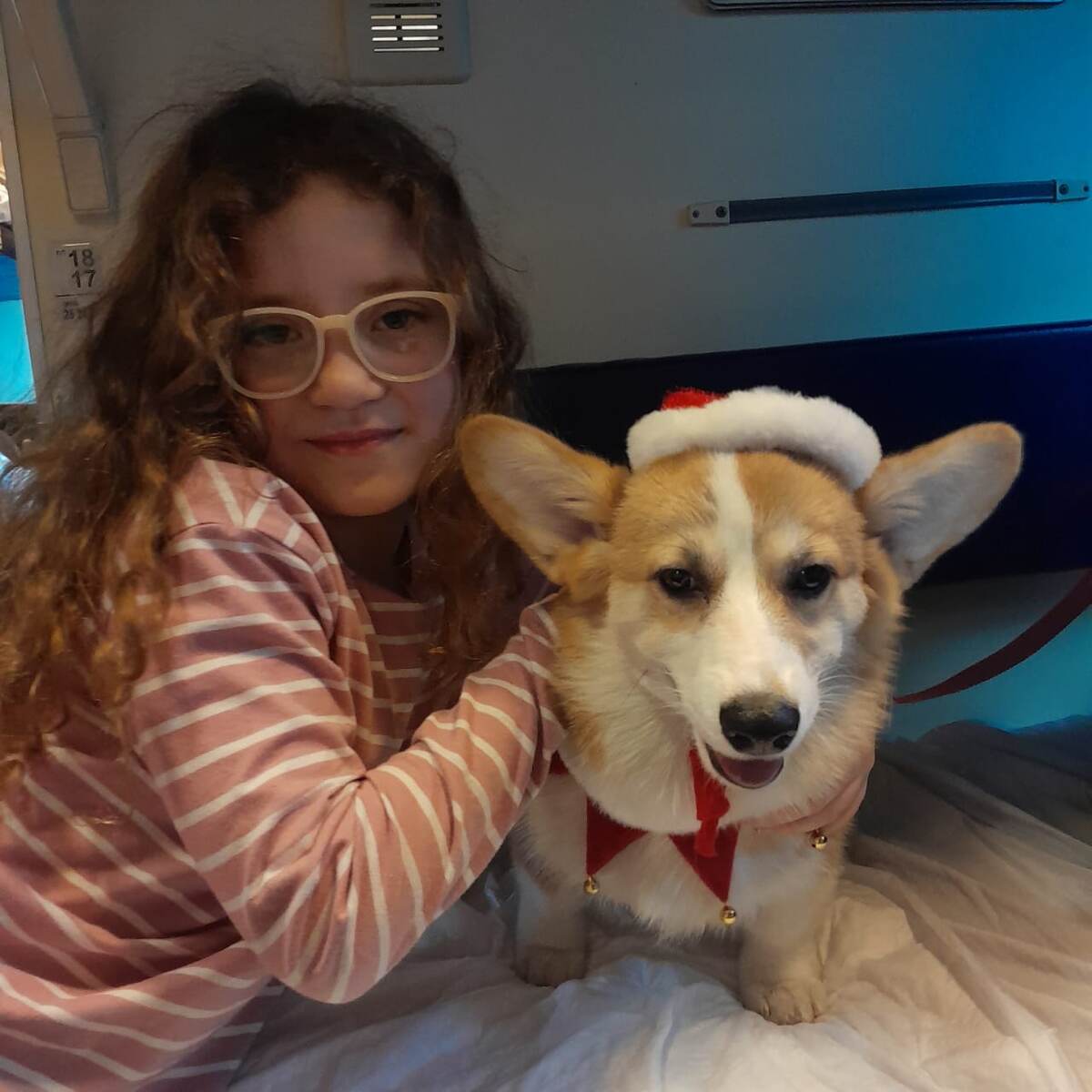 Вот он, самый классный пассажир