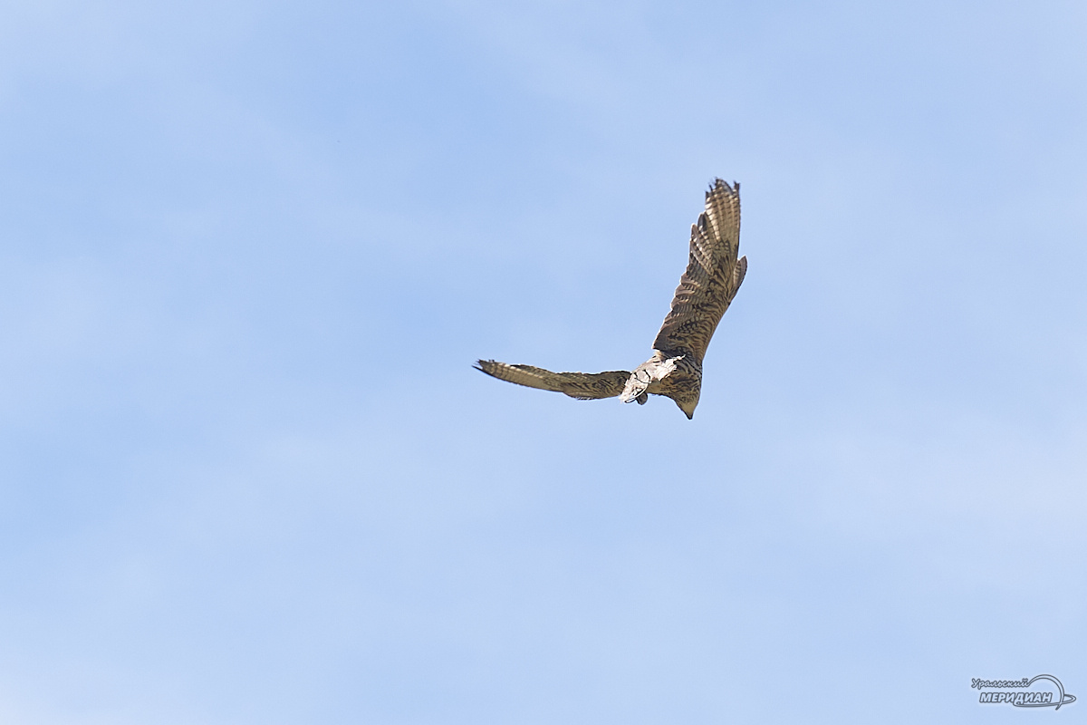    Фото: Лидия Аникина © ИА «Уральский меридиан»