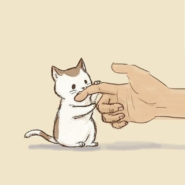 Яндекс Картинки. 