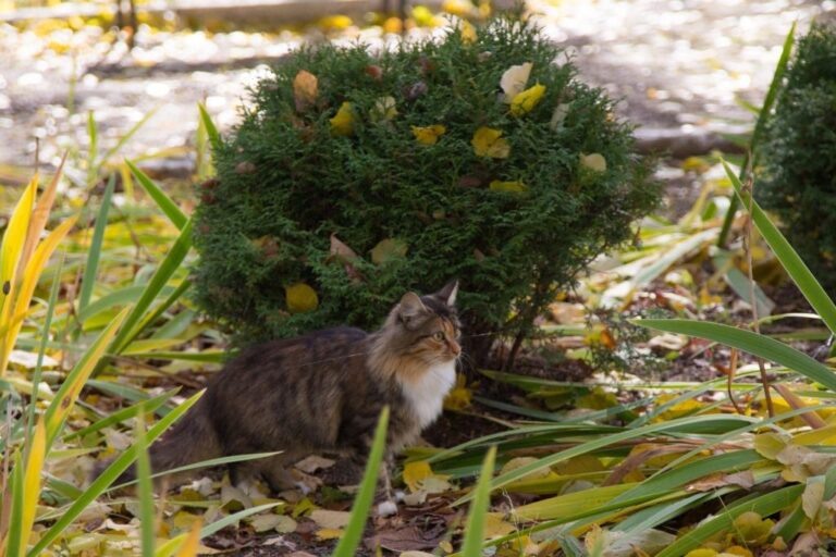    Фото: Общественная Служба Новостей Мария Спиридонова