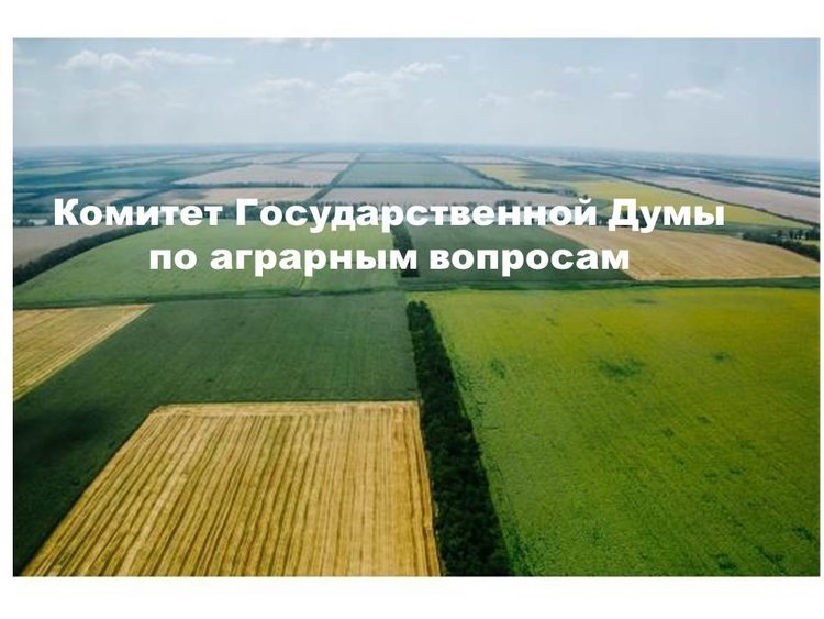    Фото: Комитет Государственной Думы по аграрным вопросам