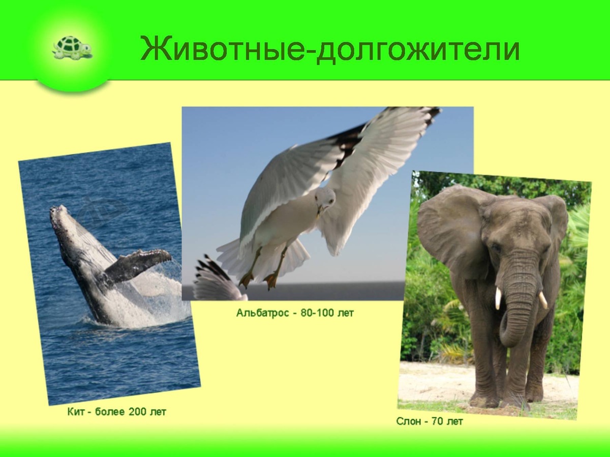 Источник: Яндекс картинки