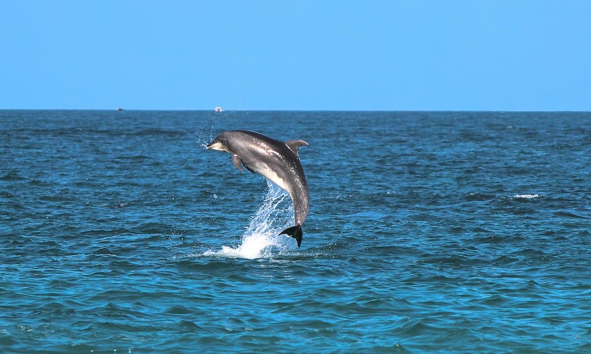    Фото freepik.com