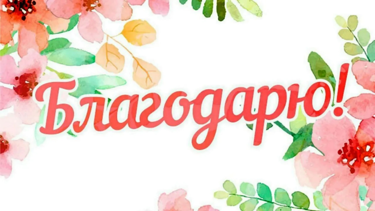 Картинка из интернета