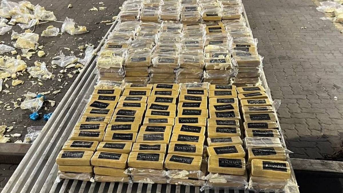    Фото: ФТС России / Telegram