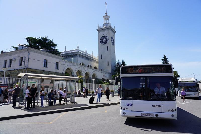 Фото: Telegram/Сочи Официальный  📷
