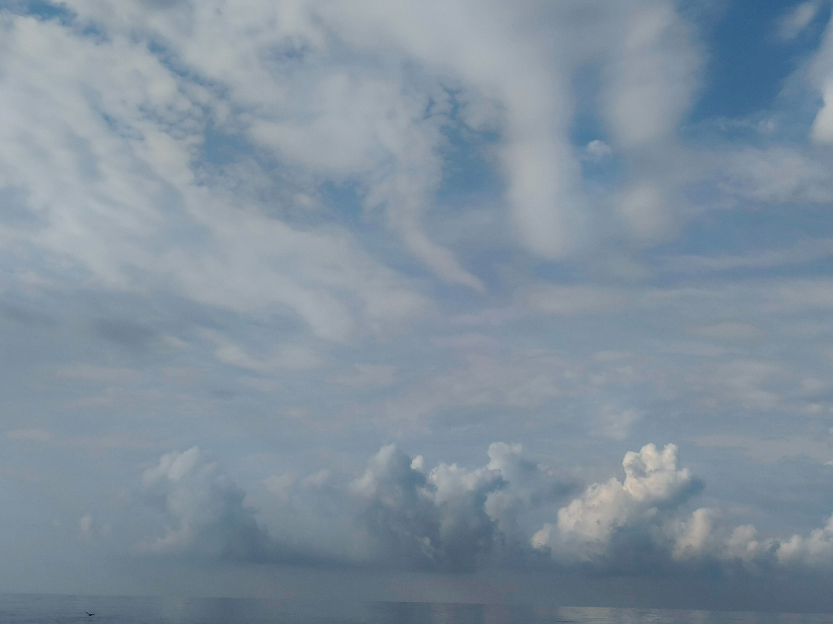 ФТ Сириус, пляж "Крылья Балтики", 16 июля 2025 года