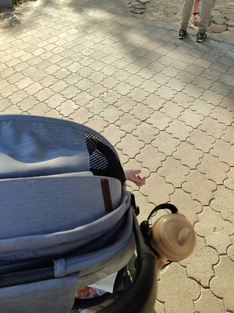 Просит хлебцы😁 Фото автора