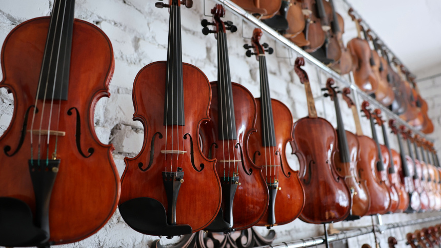    Фото: © РИА Новости/Сергей Аверин; 5-tv.ru