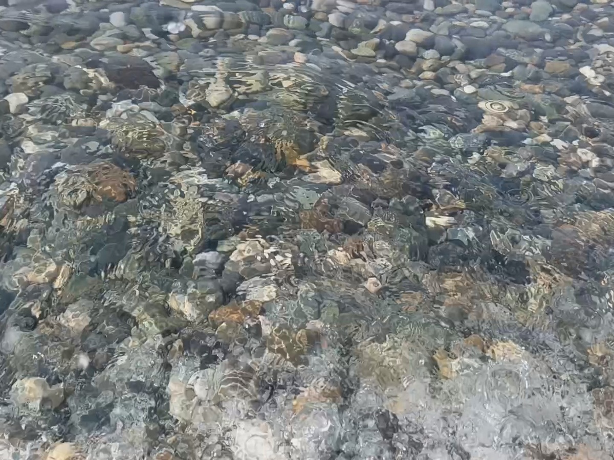 Пляж "Крылья Балтики", июль 2025 г.