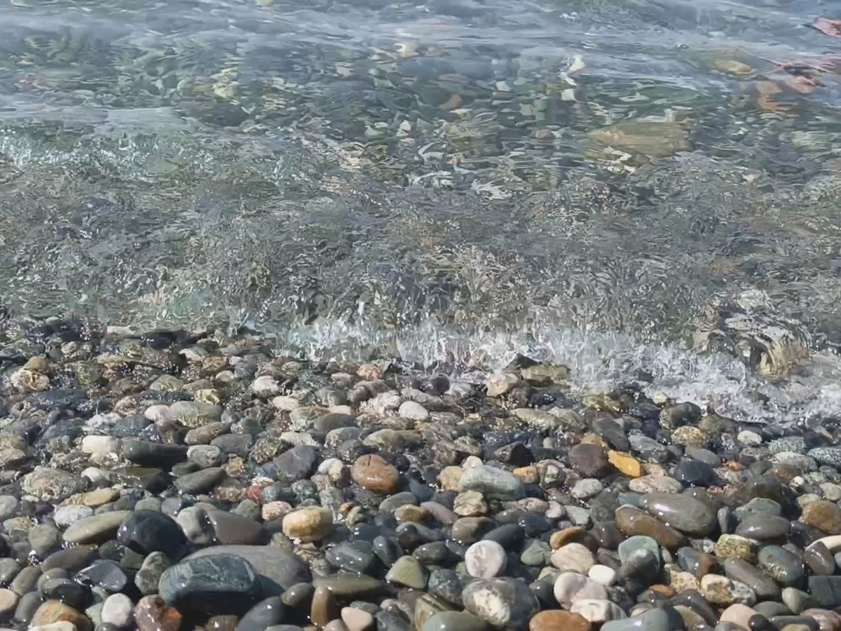 Пляж "Крылья Балтики", июль 2025 г.