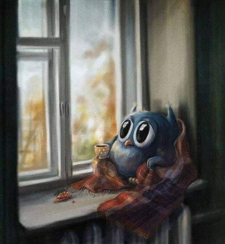 Источник: Pinterest