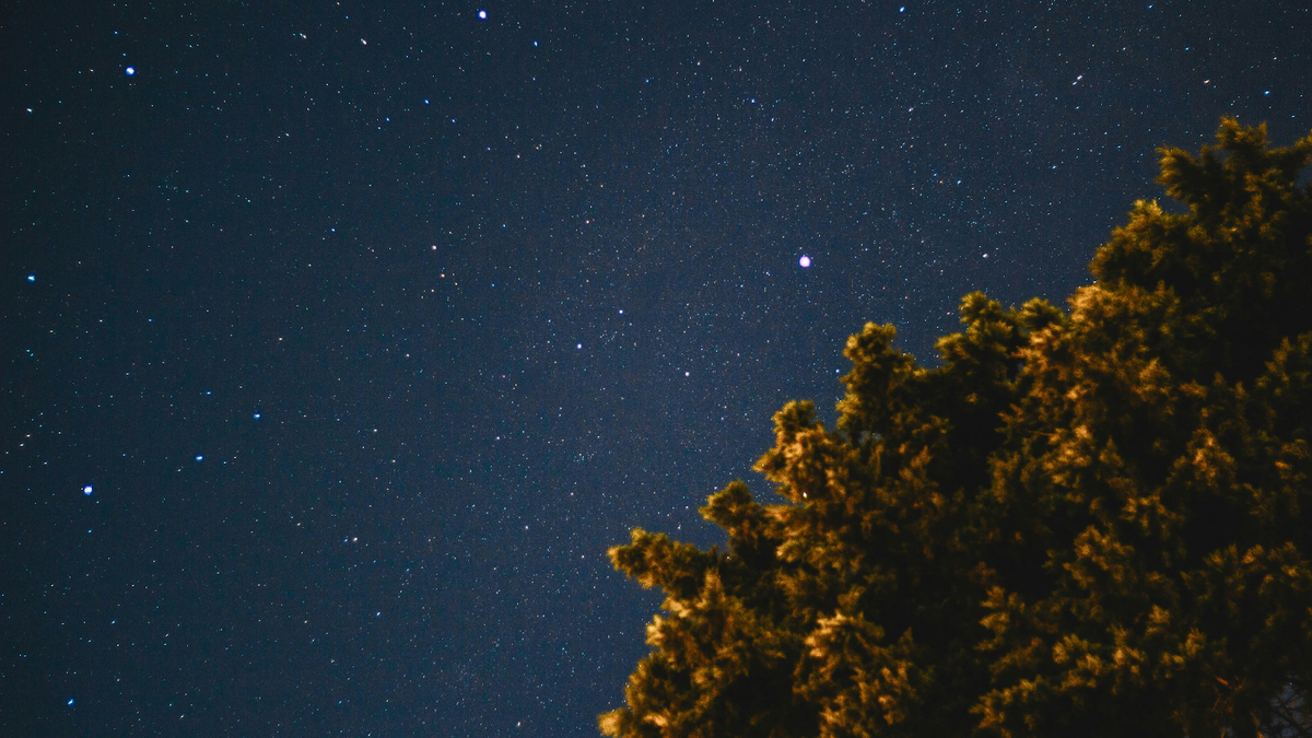 Звездное небо, фото