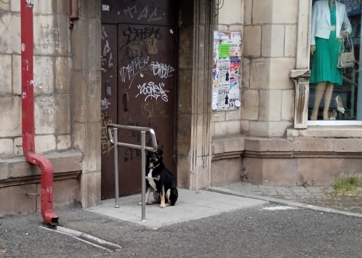 Екатеринбург постоянно меняется. Почти всегда к лучшему. Фото: канал Мир глазами курьера