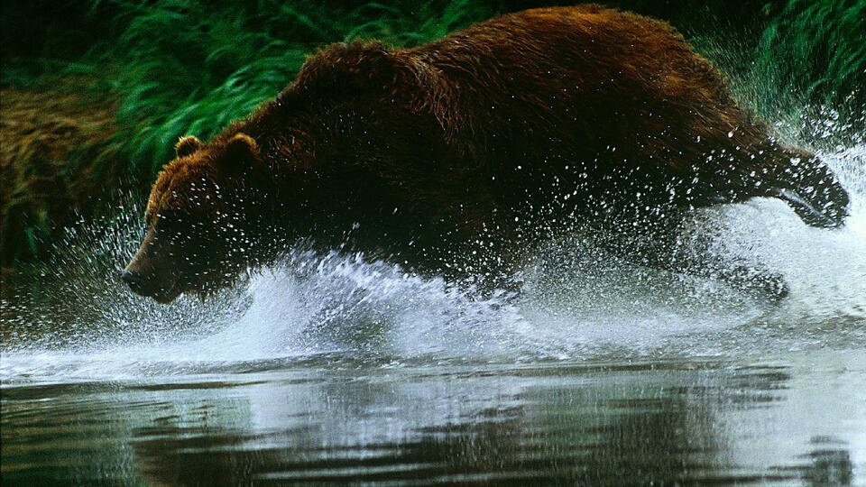 Фото: © www.globallookpress.com/Andrey Nechaev/Russian Look