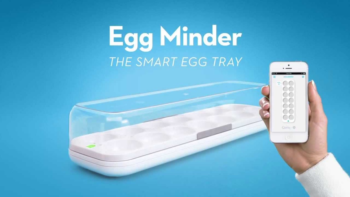Quirky Egg Minder