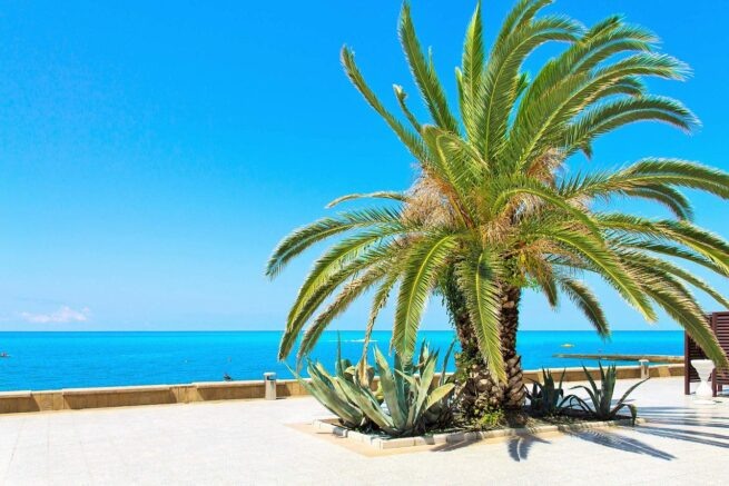    Фото: пресс-служба министерства курортов, туризма и олимпийского наследия Краснодарского края