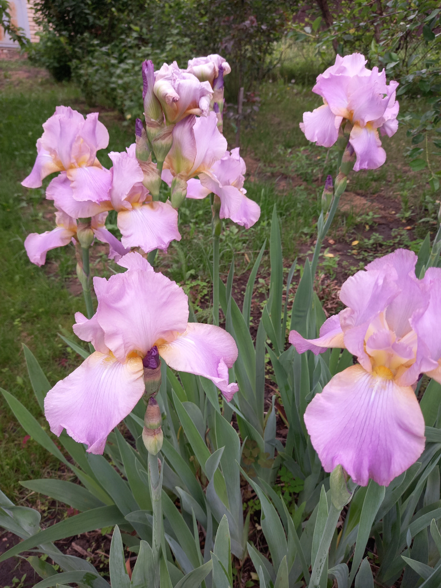 мои любимые