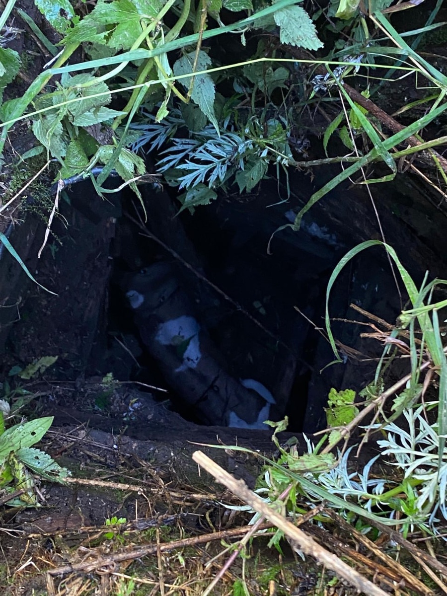    Фото: КГКУ «Спасатель»