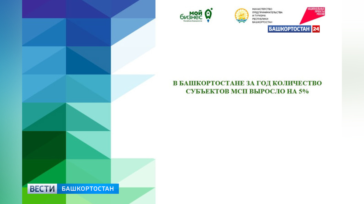    Количество субъектов МСП в Башкортостане выросло на 5%