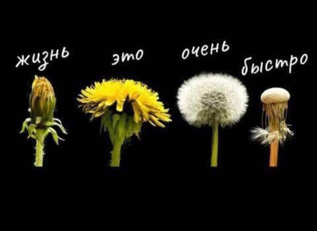 Не оступись!!