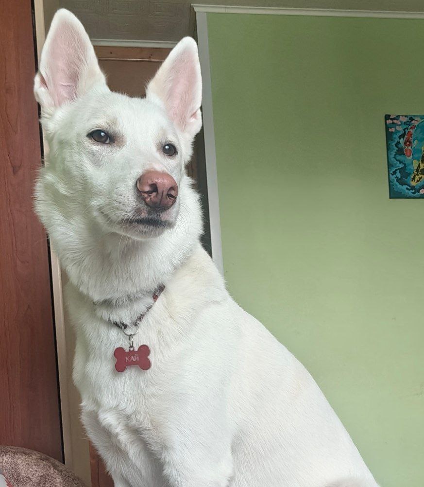 Красавчик, 100 процентов!!