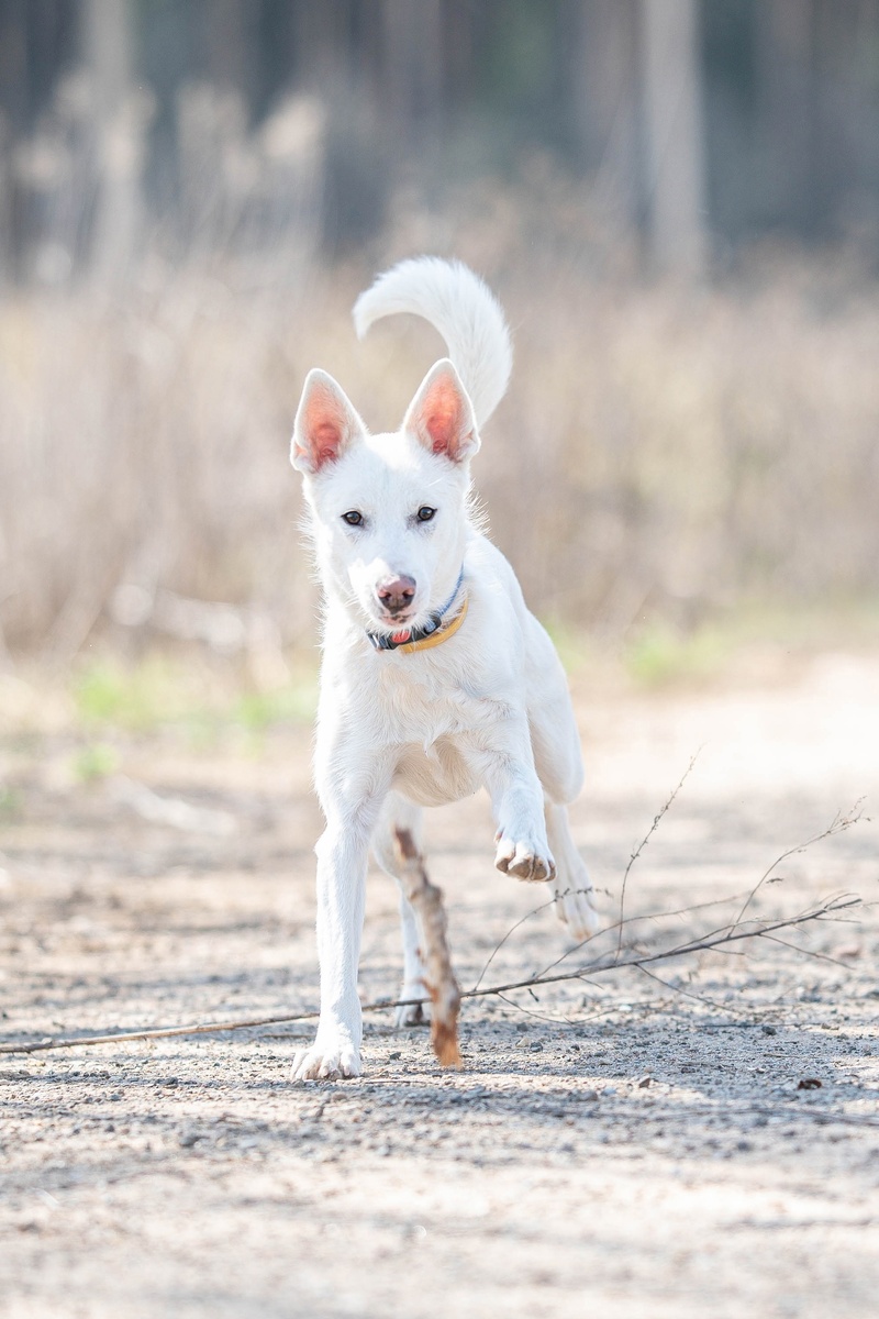 Вот такой малышок был