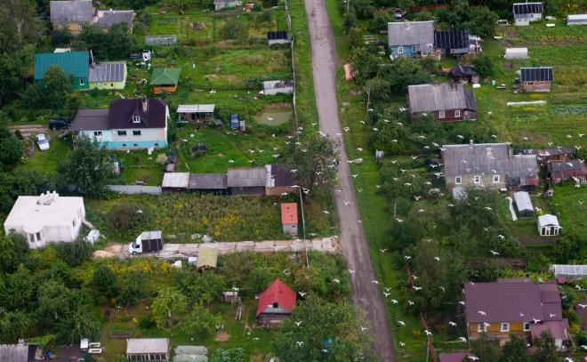    © Baltphoto/ Павел Долганов