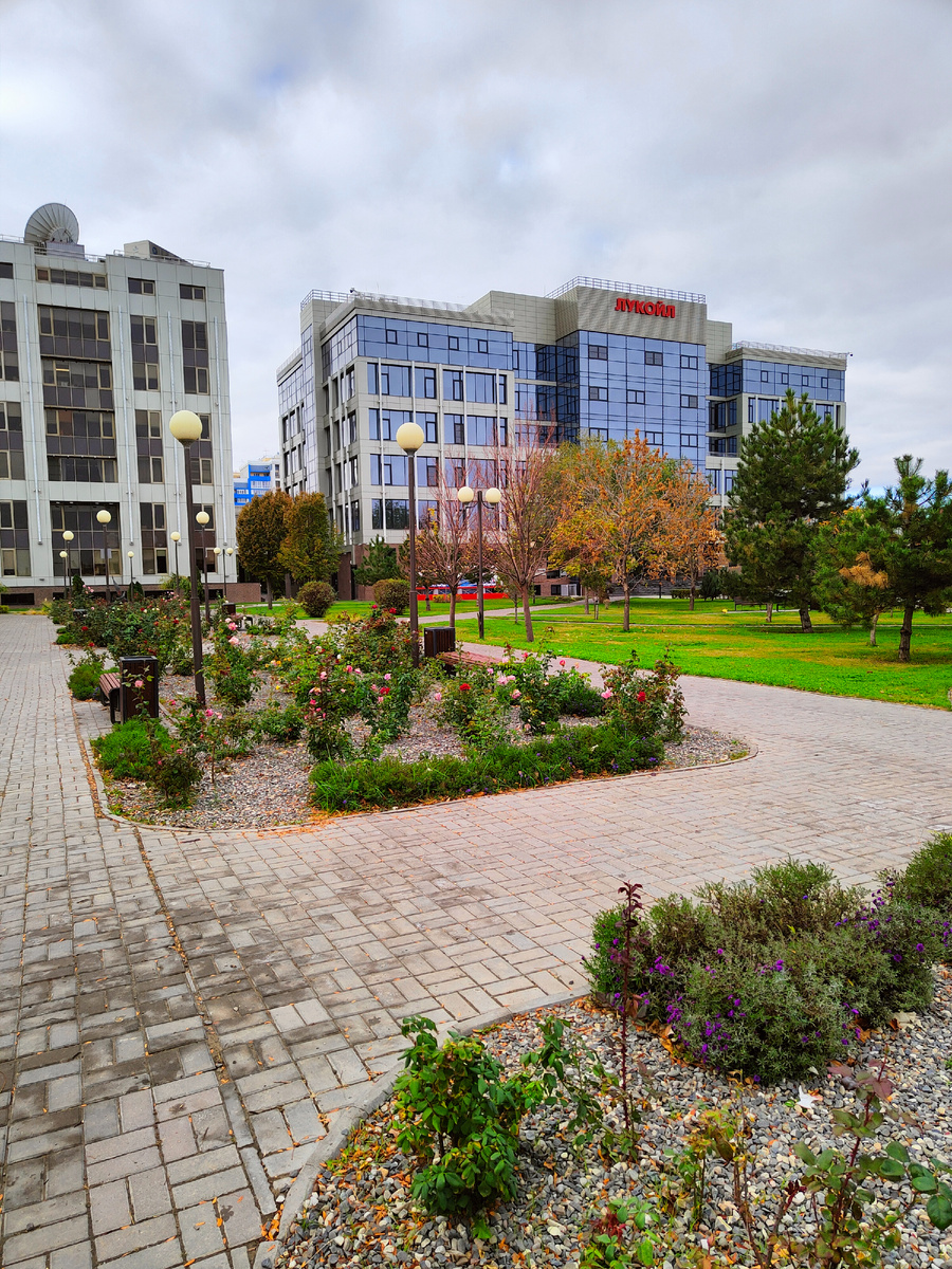 Мы припаркованы в грязи, а рядом красивый парк.