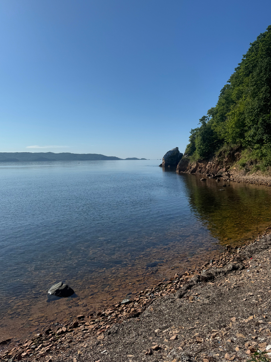 Именно в этом месте мне нравится плавать под водой возле искал, глубина тут небольшая от полуметра до 3 м. Почти от самого берега начинаются на дне появляться морские ежи чёрные, чуть-чуть поглубже серые морские же. Много мидий огромных, не то что продаются в магазине мелкие с ладонь. Много морских звёзд и крабов мелких.Около 3 м под водой,много устриц прикреплённых к скалам, именно те которые дорогущие продаются в магазинах , а тут бери не хочу.