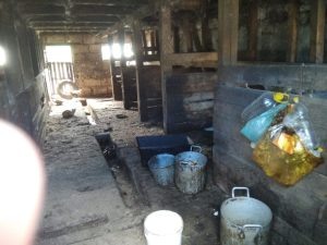 На "ферме" не нашли ни скота, ни убойного пункта, ни места хранения