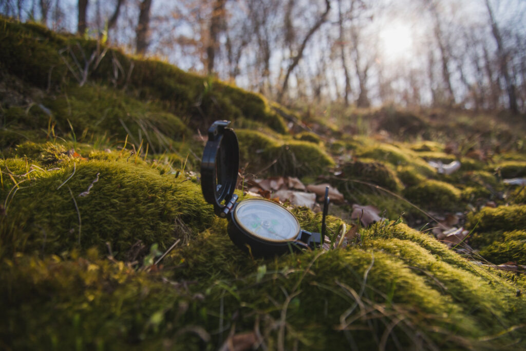    Фото: freepik Елена Воронцова