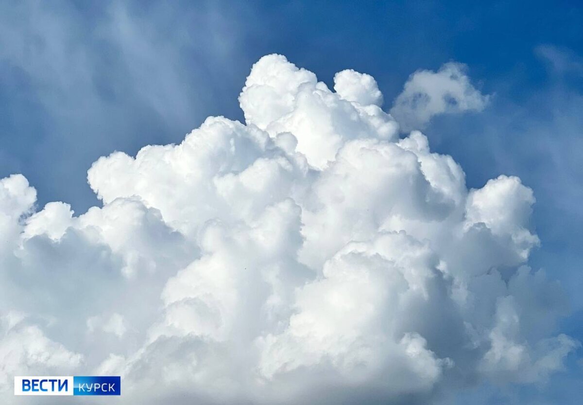    В Курской области лето в разгаре: шорты, сланцы и… зонтик!