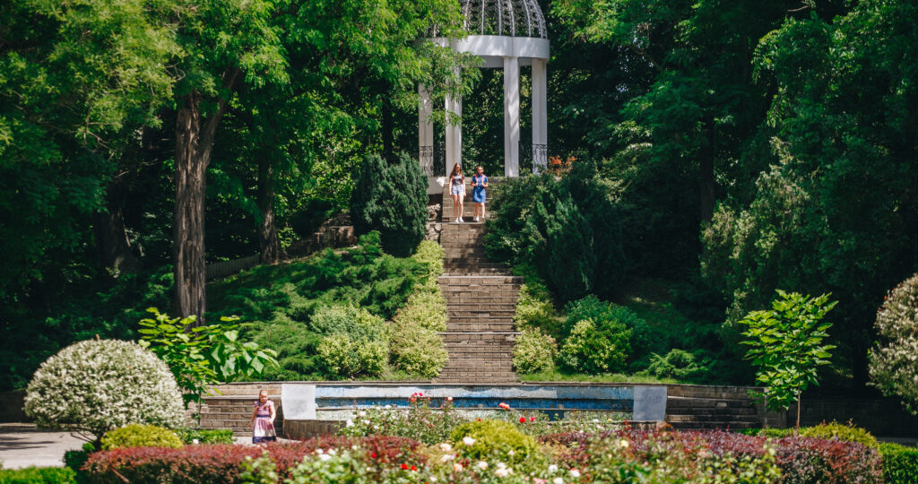 Экскурсия по Краснодару на трамвае: что покажет путешественнику поездка по рельсам