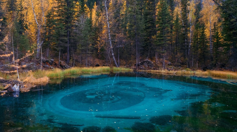    Тайна мертвых озер почему эти водоемы убивают все живое