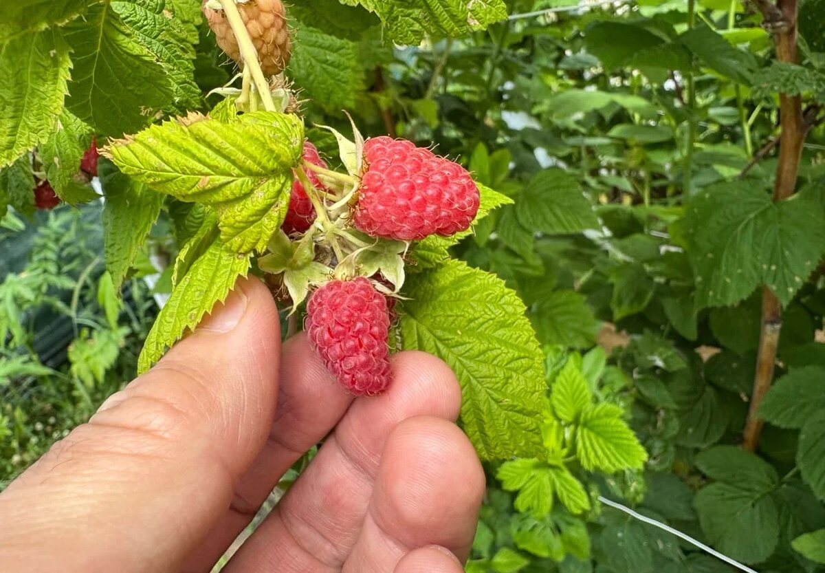 Фото: UfaTime.ru