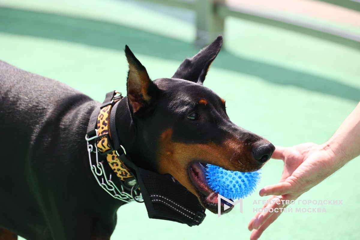 Фотограф: Ярослав Чингаев