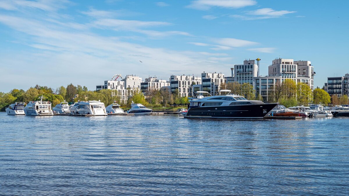    Фото: wikimedia.org