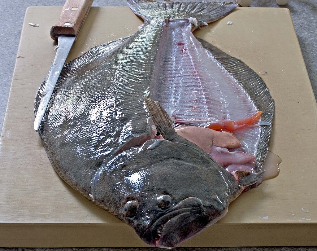 Искусство разделки рыбы