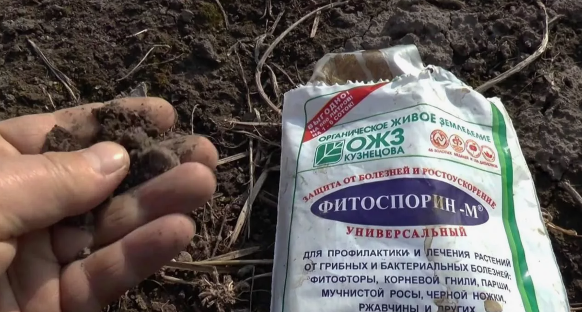 Фитоспорин-М