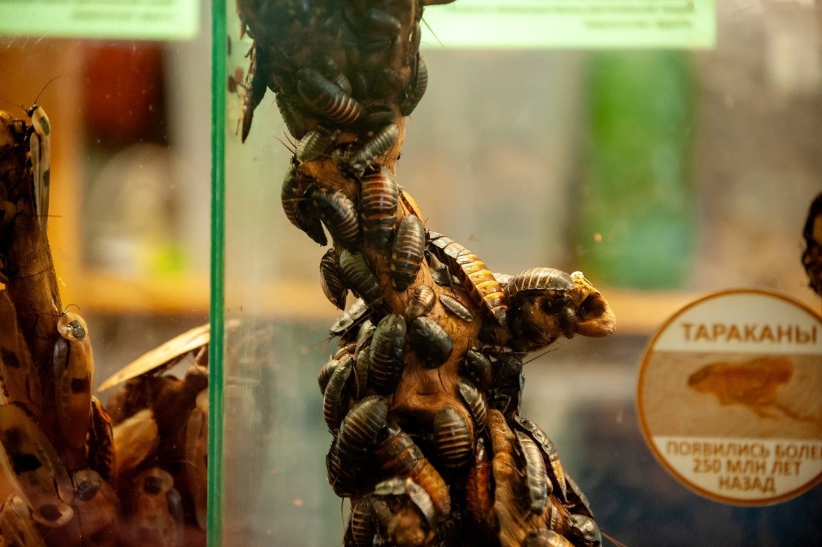 Фото: Юлия Федотова