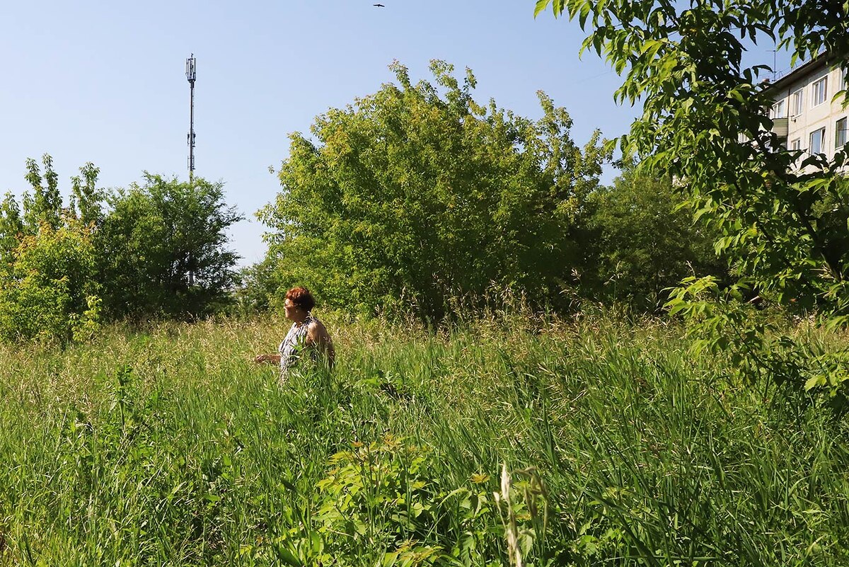 Трава по пояс. Фото Александра ВАСИЛЬЕВА.