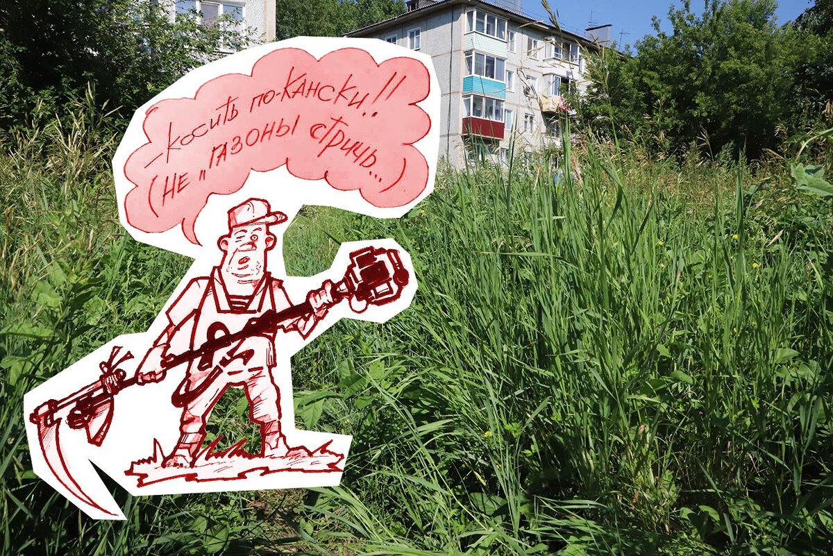 Городские пейзажи «радуют» видом нескошенной травы. Фото Александра ВАСИЛЬЕВА.