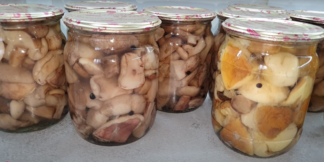 Быстрые маринованные грибы на зиму. Рецепт для любых лесных грибов